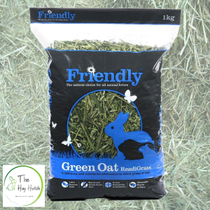 Friendly Green Oat ReadiGrass