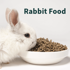 Rabbit Food