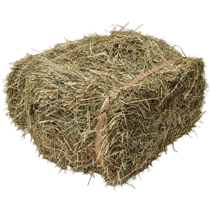 Mini bale of Devon timothy hay