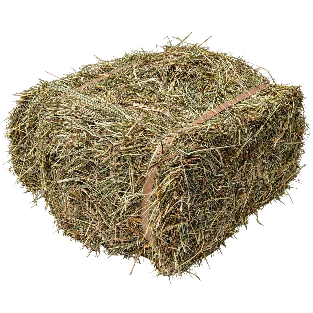 A strapped mini bale of Devon hay