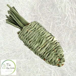 Nature First Grassy Carrot Chew Toy for Rabbits & Guinea Pigs