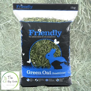 Friendly Green Oat ReadiGrass